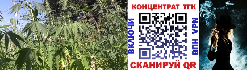 ТГК вейп с тгк  Каргополь 