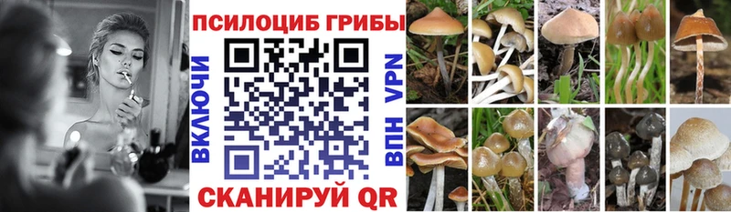 Псилоцибиновые грибы GOLDEN TEACHER  Каргополь 